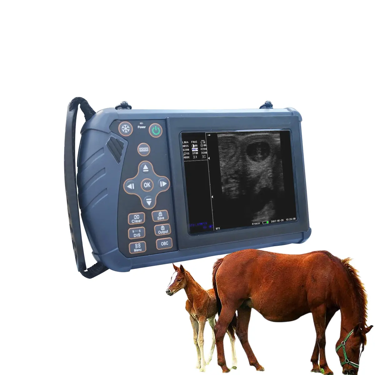 Portable Vet Mobile Phone Handheld Wifi Dual Probe Medical Wireless Scanner Veterinary Ultrasound