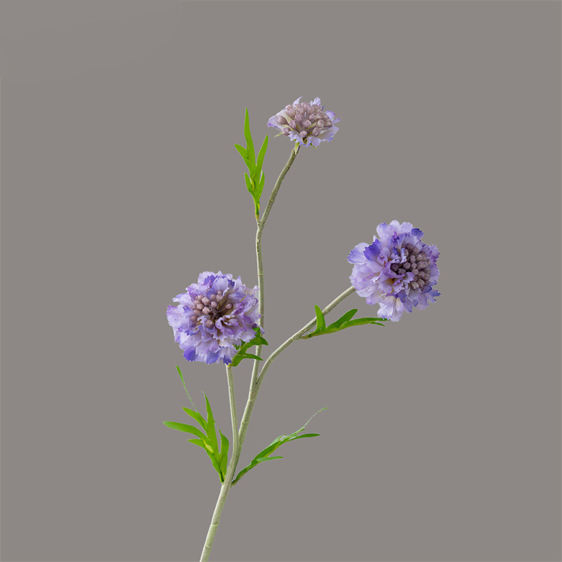 Bleu clair