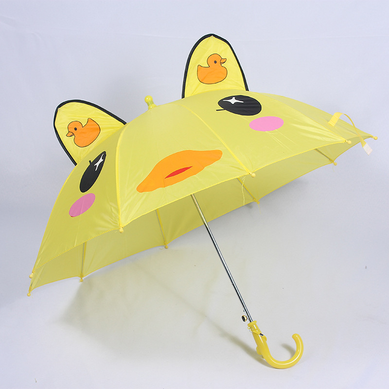 Canard
