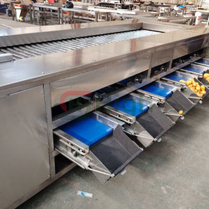 Clasificador de tipo rodillo completamente automático, máquina clasificadora de diámetro multinivel, clasificación de peso, patata, zanahoria, cebolla, manzana, verdura - Product Image 5