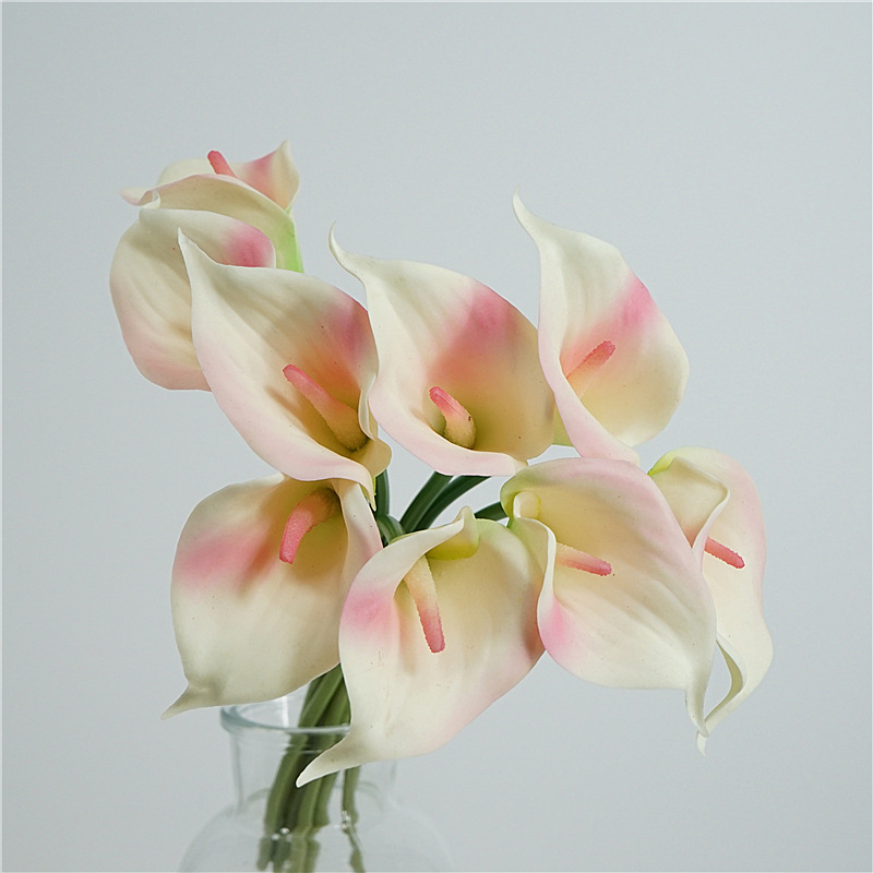 Bouquet de 9 branches de calla commun nouées - Lait en poudre