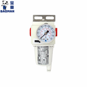 İtalya Sitecna F serisi yüksek akış filtresi coa316l 1/4 ''NPT kaplama filtreleme elemanı ile, SS basınç göstergesi - Product Image 3