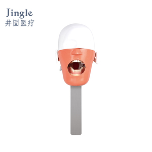 Modèle de tête fantôme de mannequin de simulateur dentaire d'usine - Product Image 3