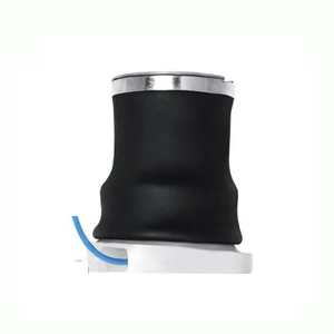 5001836461, 3090585, 93161385 F/FL 6/FM 7/FLC/FH/FM/FMX/NH9/10/11/12/13/16 Suspension à ressort pneumatique - Product Image 4