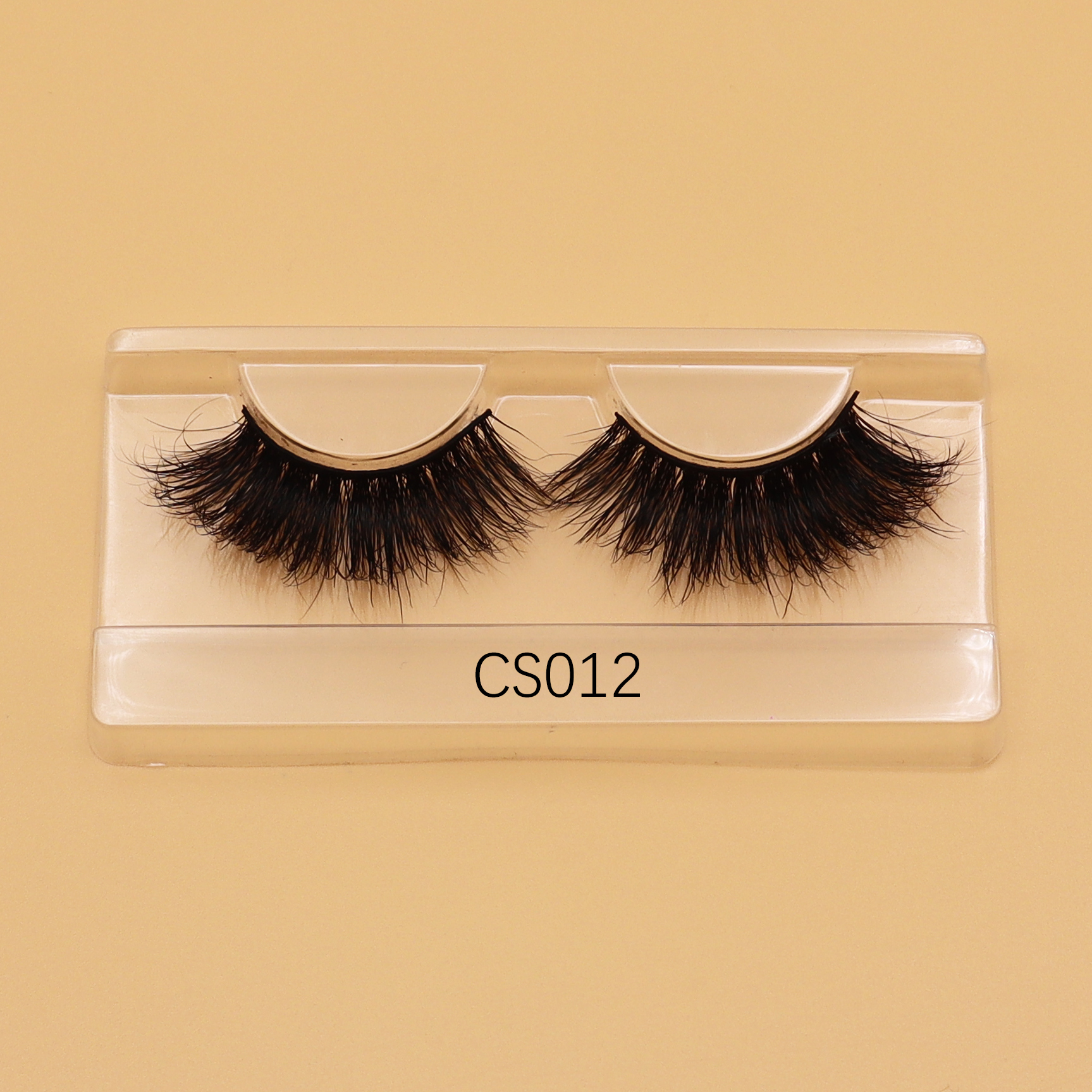 CS12