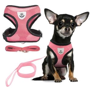 Skynuo Nylon Mesh Cats <strong>Harness</strong> Adjustable Soft Vest Walking Leash and Chest <strong>Harness</strong> for <strong>Small</strong> and Medium <strong>Dogs</strong> and Cats Pets - Product Image 3