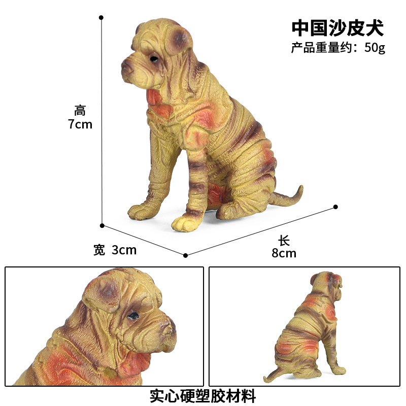 Zjs-154 chino Shar Pei