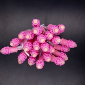 Prezzo di fabbrica singolo colore e colore completo 9mm <span class=keywords><strong>LED</strong></span> stringa di luce DC 12V giardino <span class=keywords><strong>Pixel</strong></span> modulo
