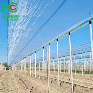 Hot Bán Chống-Lão Hóa Nhựa <span class=keywords><strong>Bird</strong></span> Net Hiệu Quả Cho Bắt Chim Hoang Dã Mưa Đá Cắt Dịch Vụ Chế Biến Có Sẵn - Product Image 1