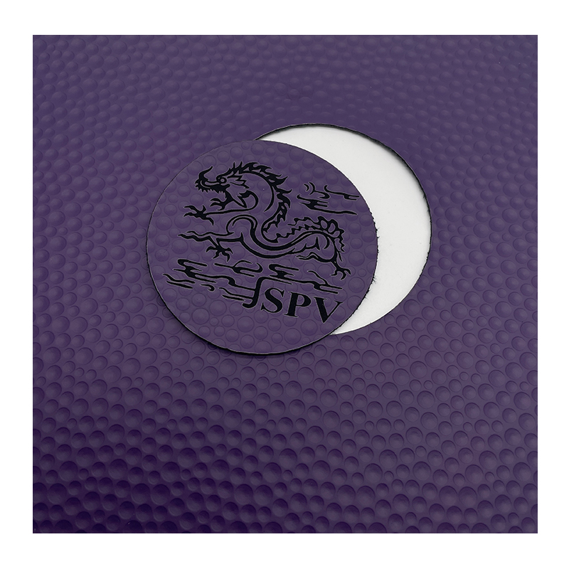 GEF10 Violet/Noir
