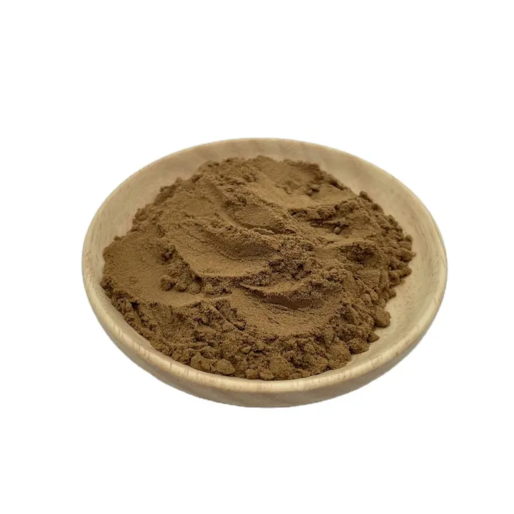 Huperzia Serrata chiết xuất bột CAS 120786 1% ~ 99% huperzine một loại bột