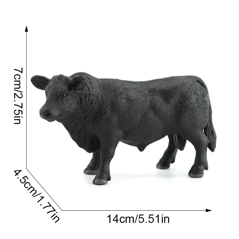 414 bœuf angus noir-1628g