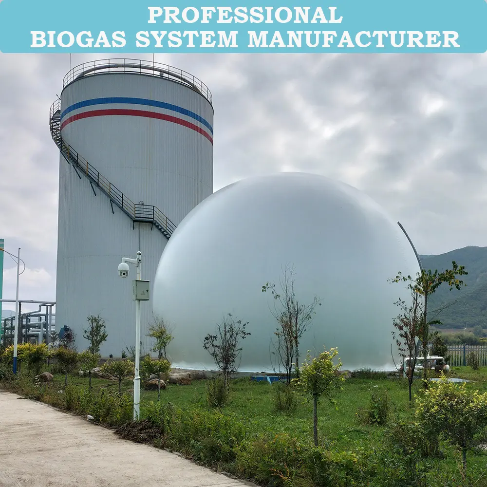 1200 metri cubi biodigestore Biogas e 400m3 capacità del supporto del Gas impianto di Biogas/Biogas acciaio CSTR digestore