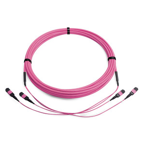Fiber Optic Cable 50/125 Multimode <strong>MTP</strong> Female to <strong>MTP</strong> Female <strong>Trunk</strong> Cable 24 Fiber OM4 Type B LSZH (E.Violet), 15 M - Product Image 2
