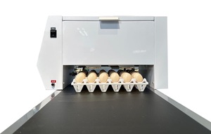 Конвейер для печати яиц, 6 головок - Product Image 6