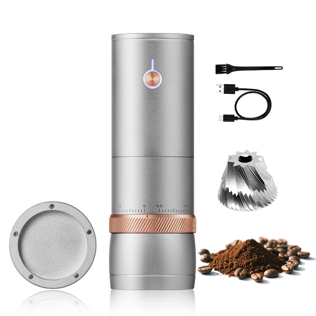 Silver-scaled coffee grinder