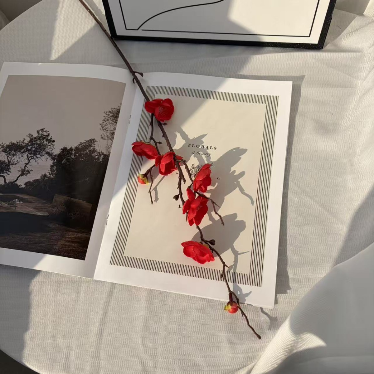 Red plum blossom of good fortune