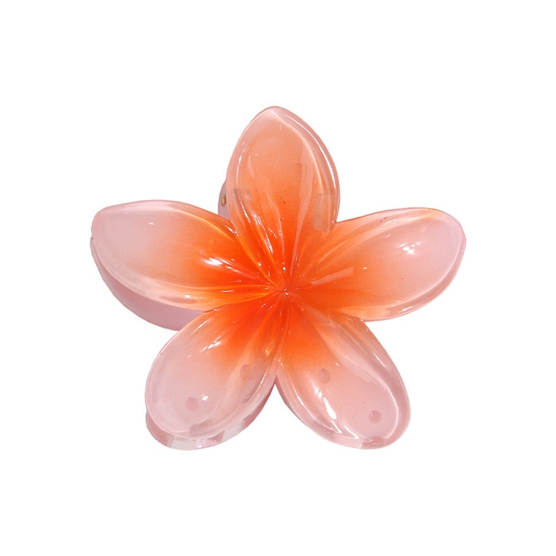Corail