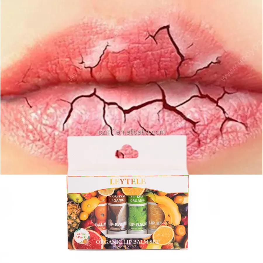 Private Label Natural de longa duração Hidratante Chapstick Lip Gloss 6 Frutas Sabor Blueberry Batom Orgânico Embellish Lip Balm