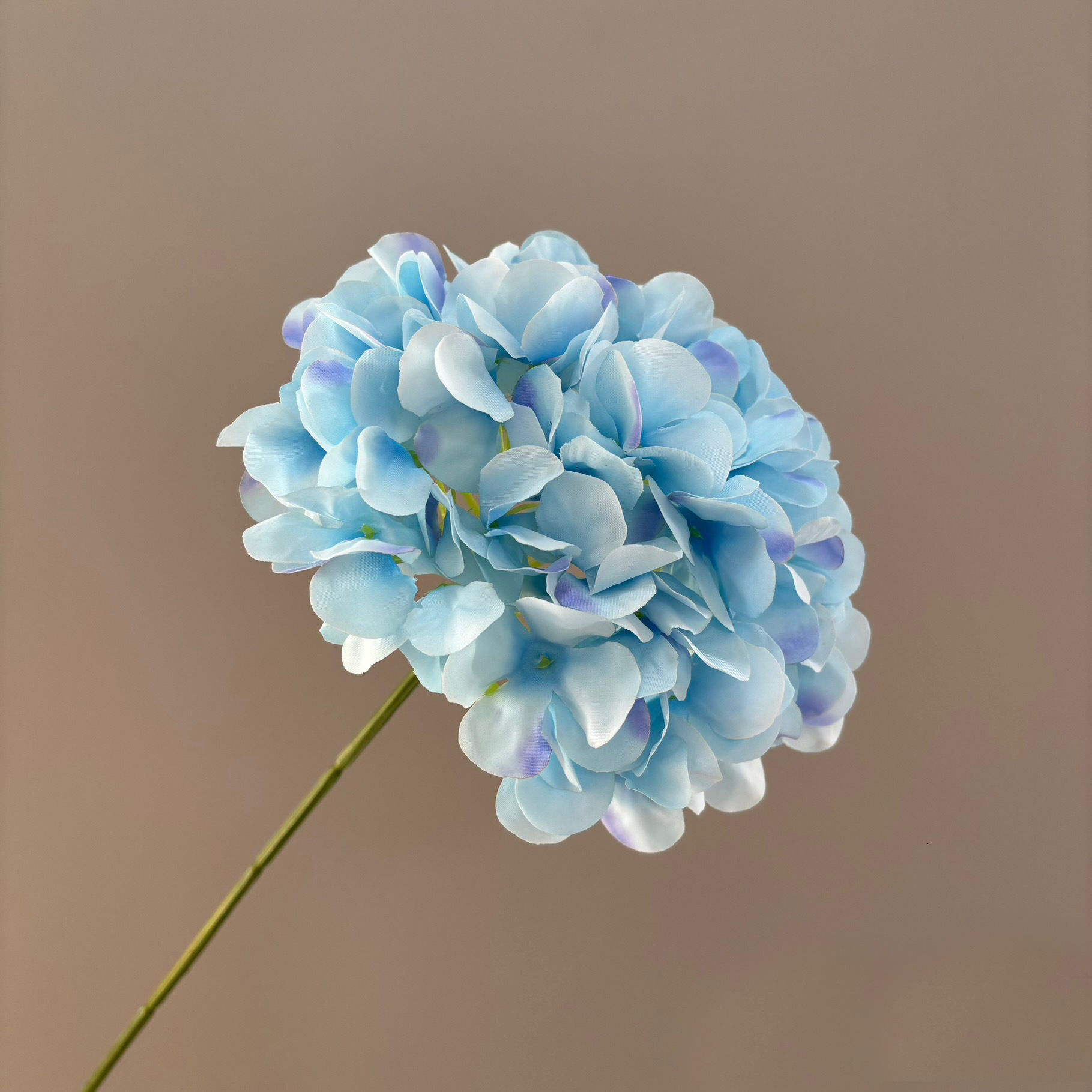 Bleu clair