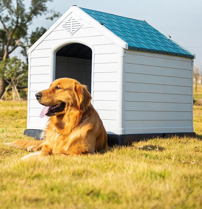 Современный водонепроницаемый пластиковый Большой Домик для собак, открытый Крытый приподнятый пол, питомник для собак