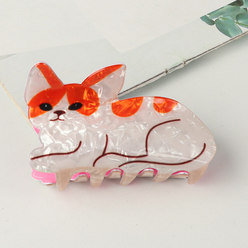 Gato blanco naranja