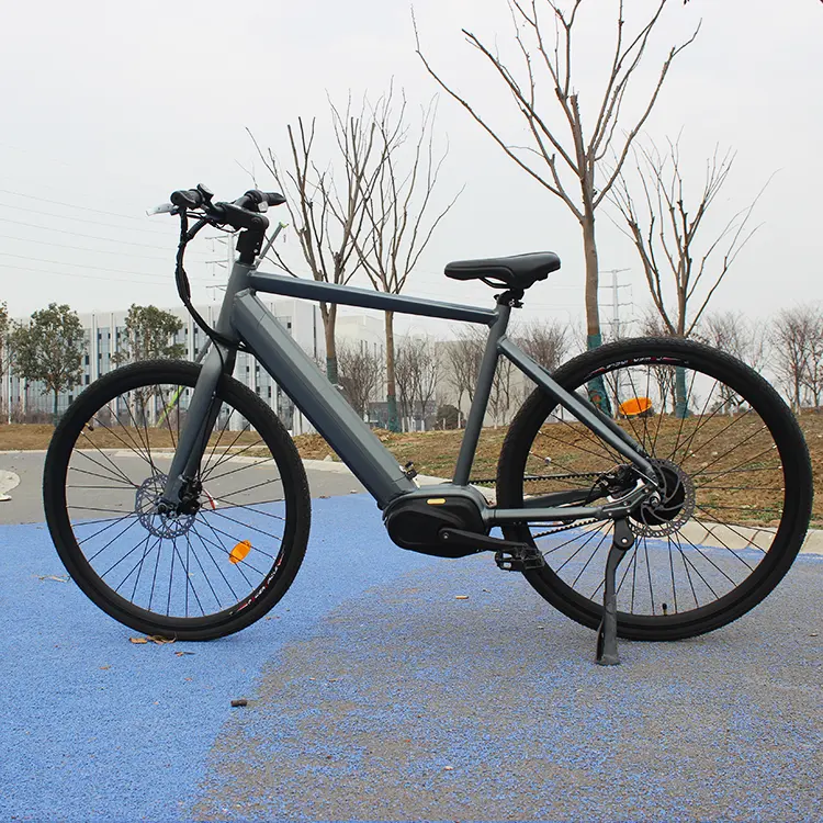 고성능 벨트 드라이브 전기 산악 자전거 250W 350W E 레이싱 자전거 LCD 디스플레이 벨트 드라이브 Ebike 미드 모터