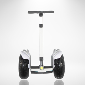 Segways Are Being Used in Airports. Security <strong>Companies</strong> Use Two Wheels <strong>Scooters</strong> on the Devices in Emergency Situations. - Product Image 5