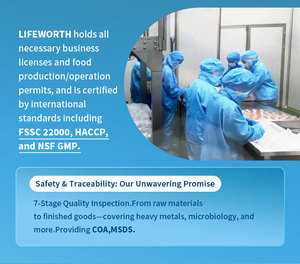 Lifeworth OEM N-Acetyl L-Cysteine (NAC) Viên Nang Dinh Dưỡng thể thao Bộ nhớ/tập trung/sức khỏe não hỗ trợ năng lượng, quản lý trao đổi chất - Product Image 3