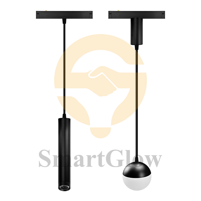 Magnetic Track Pendant Light