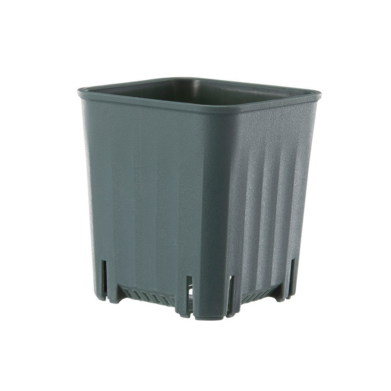 Verde scuro