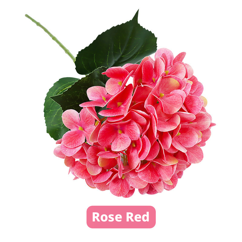 rose red