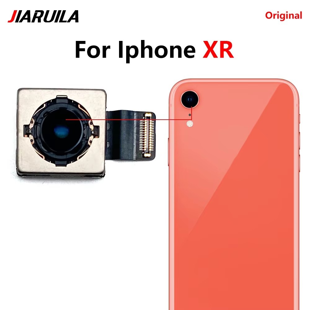 XR (arrière)