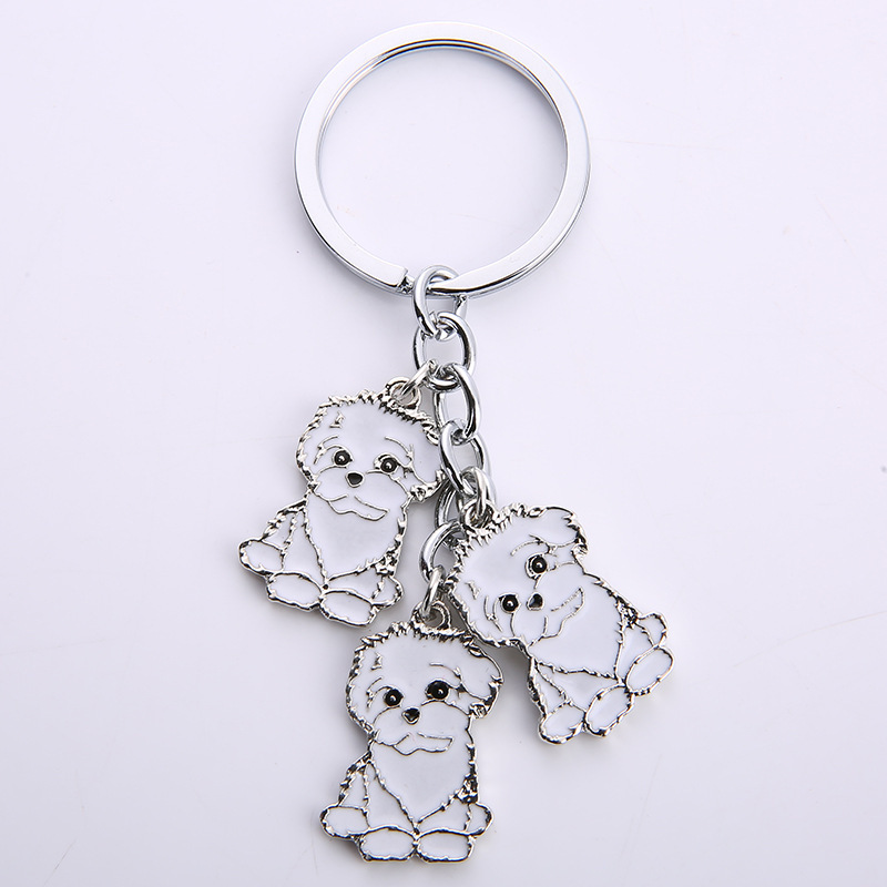Bichon frisé