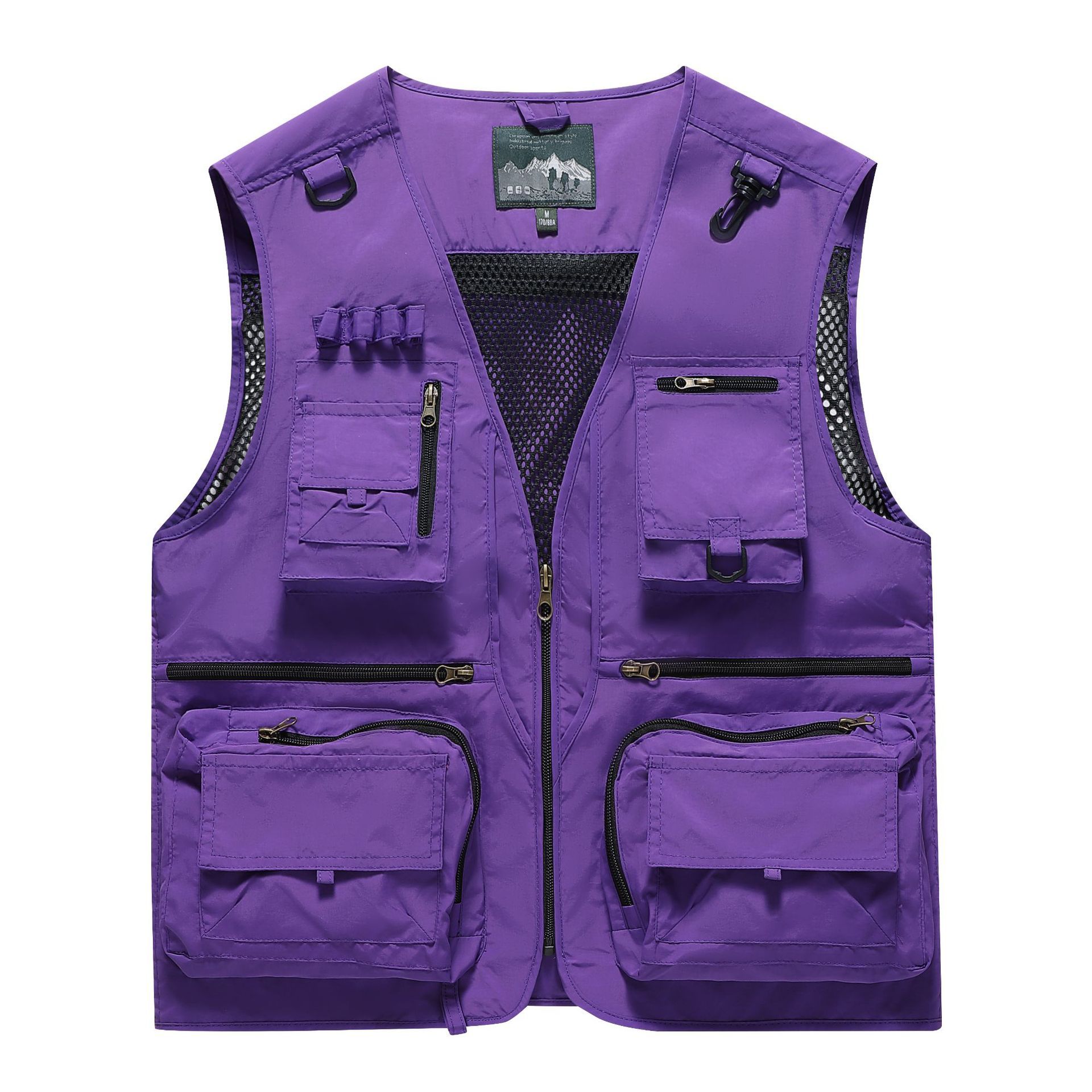 Viola