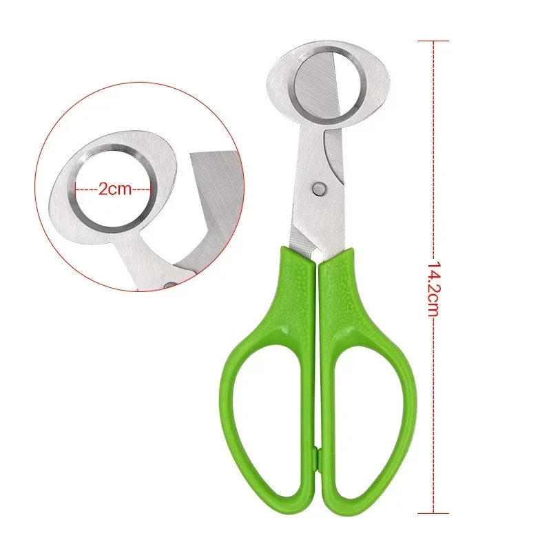 เปลือกไข่เปิดอย่างรวดเร็ว