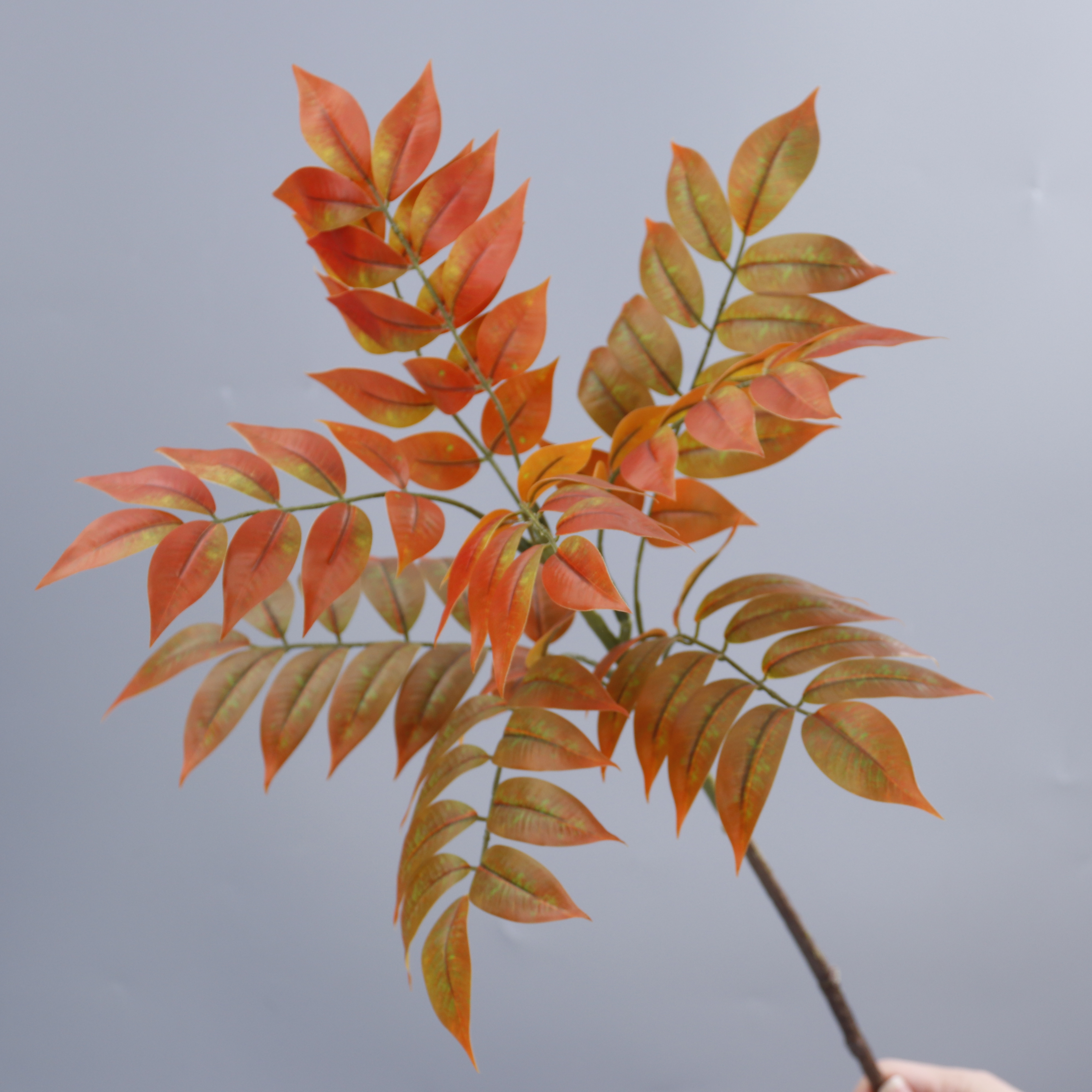 9-head Red Single-stem