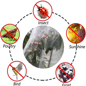 巾着付き昆虫鳥バリアツリーネット庭の鳥の網植物カバーバッグ果樹の網バグ植物保護 - Product Image 6