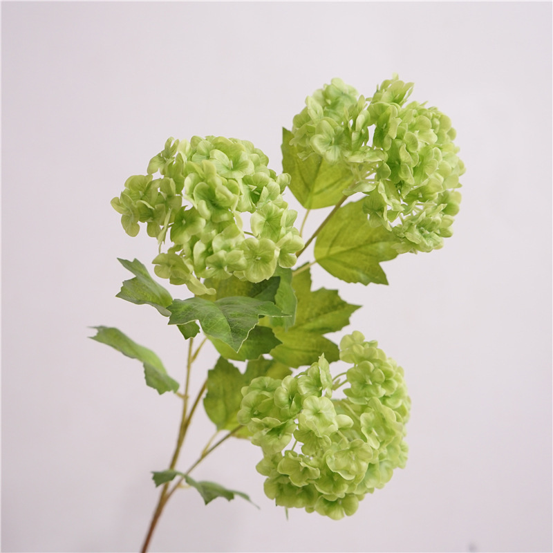 Film boule de neige vert