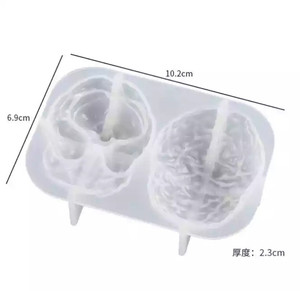Y6067 DIY epoksi reçine Organ silikon kalıplar kalp beyin bağırsak reçine kalıp