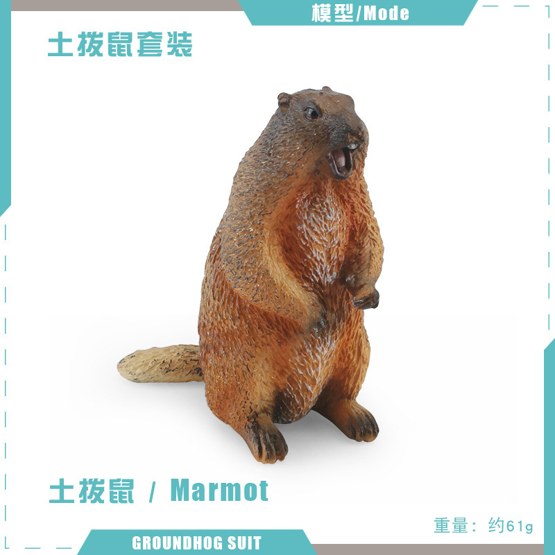 T15724 Marmota 61g