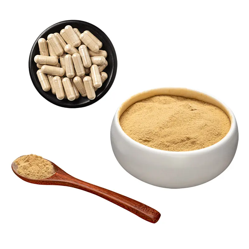 Cactus Fruit Extract Hoodia Gordonii Extract Powder Lose weight