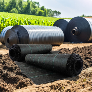 Chống cỏ dại Mat nông nghiệp nhựa cảnh quan mulching vải cỏ dại kiểm soát hàng rào PP dệt màng lưới cỏ dại mat - Product Image 2