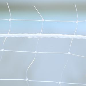 Tùy Chỉnh Dịch Vụ Chế Biến Trong Suốt Nylon PP Chất Liệu Ban Công An Toàn <span class=keywords><strong>Net</strong></span> Dây Thép Gia Cố Mèo Bảo Vệ <span class=keywords><strong>Net</strong></span> - Product Image 3