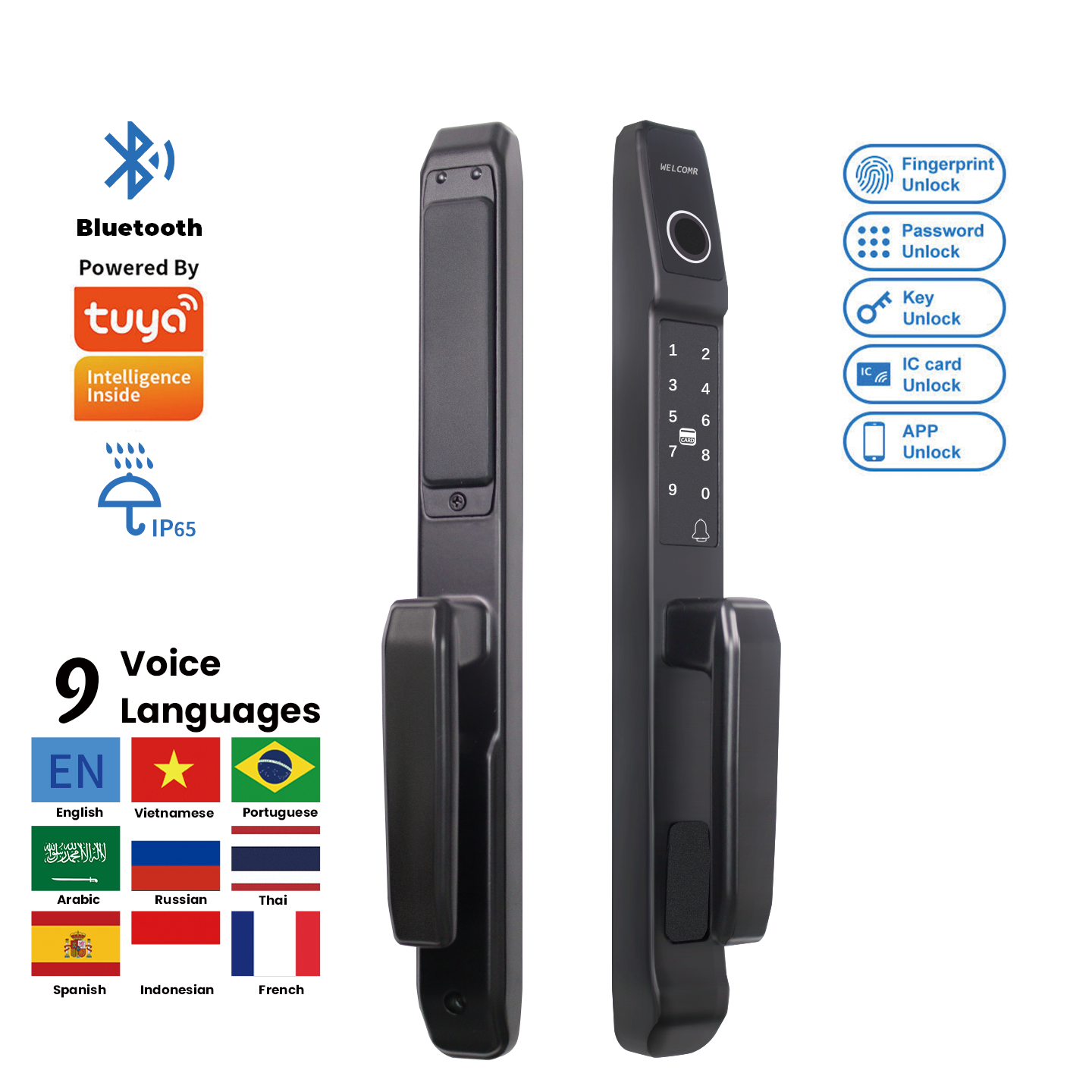 Version Bluetooth D1 Tuya