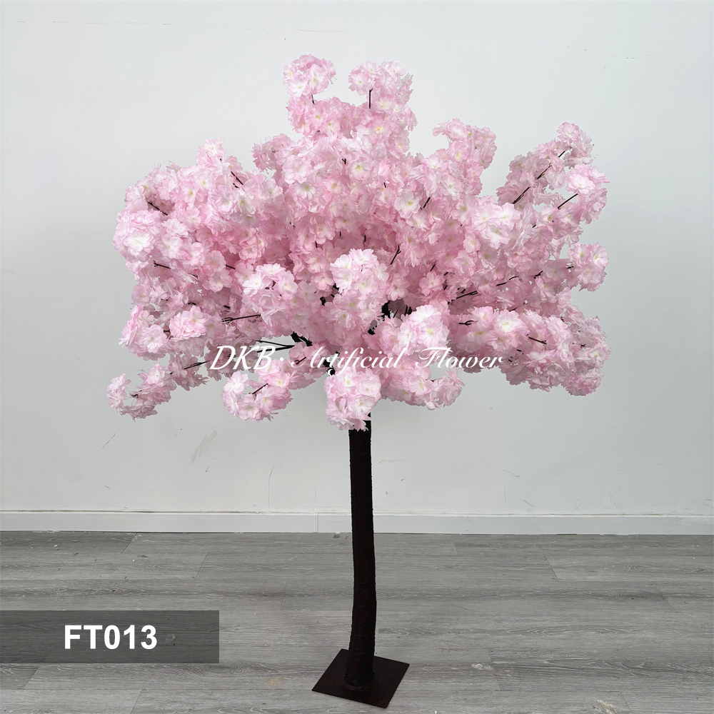 FT013