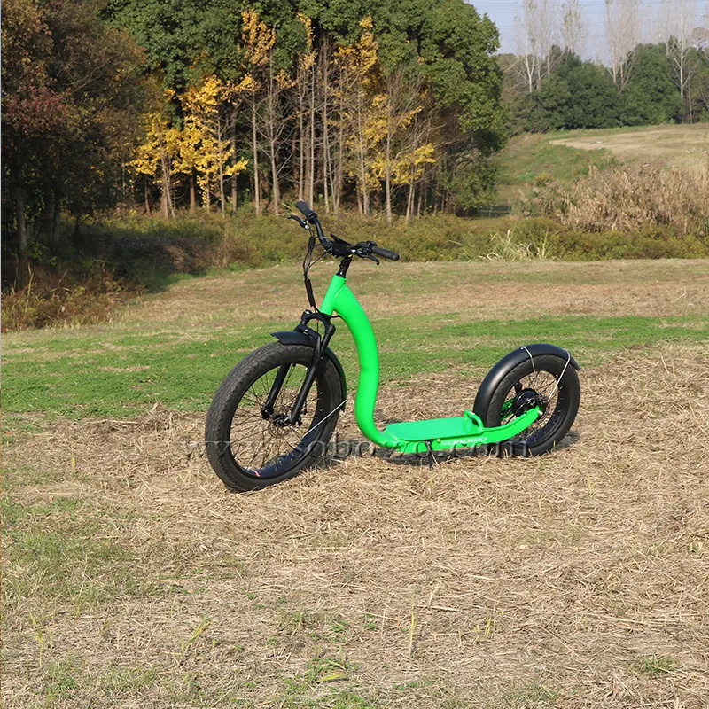 На толстых шинах Sobowo самый популярный в Европе Бесплатная доставка 2 колеса электрический скутер мотоцикла для взрослых