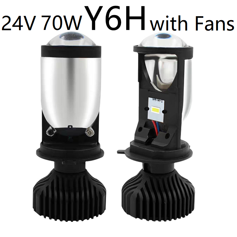 Y6H