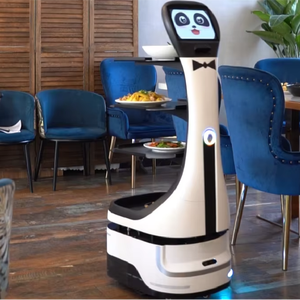 Robot de entrega de material ABS de diseño personalizado, robot automatizado tipo Panda para entrega de alimentos - Product Image 1