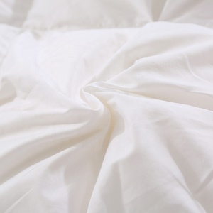 2025 nóng bán giá rẻ mùa đông Vua Kích thước chăn mùa đông trắng thiết kế lông sợi nhỏ Comforter Duvet - Product Image 4